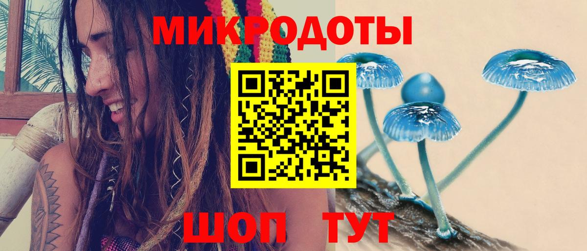 Приморско-Ахтарск  Псилоцибиновые грибы Magic Shrooms  Вход с VPN 