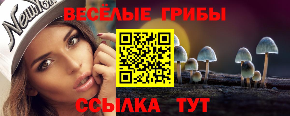 Псилоцибиновые грибы мицелий Приморско-Ахтарск